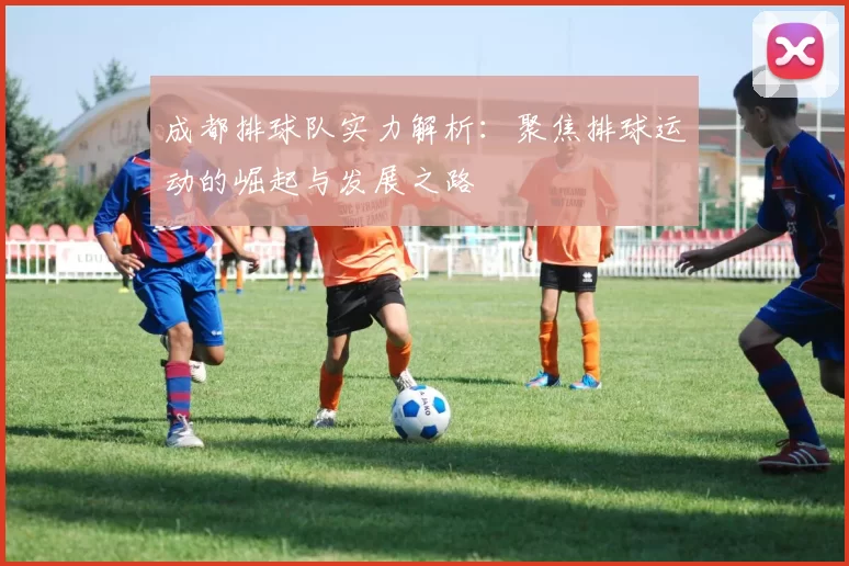 成都排球队实力解析：聚焦排球运动的崛起与发展之路