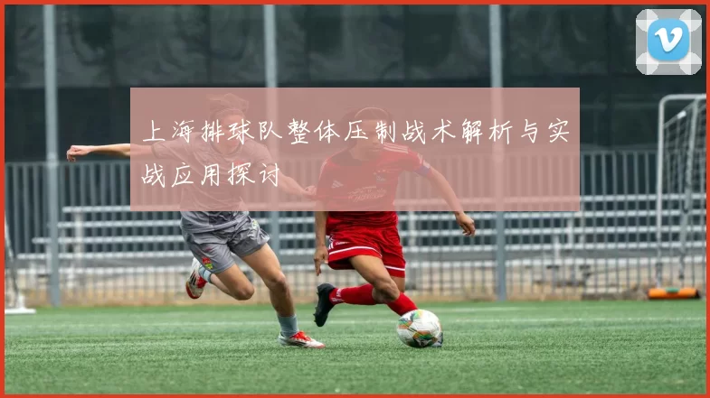上海排球队整体压制战术解析与实战应用探讨