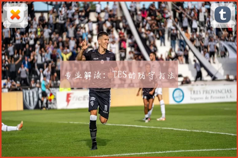 专业解读：TES的防守打法