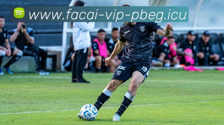 MK体育服务体系